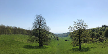 The Ultimate Somerset Food Guide