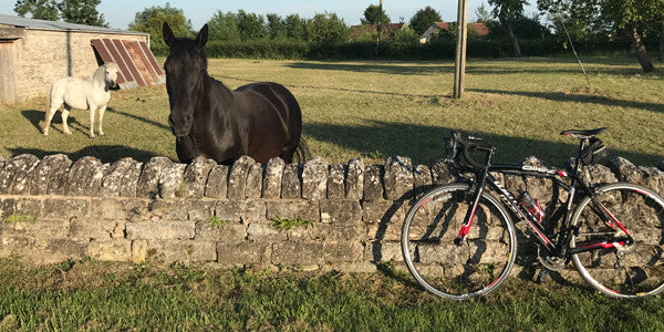 August Collection: A Somerset Journey